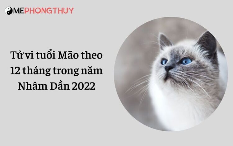 Tử vi tuổi Mão theo 12 tháng trong năm Nhâm Dần 2022