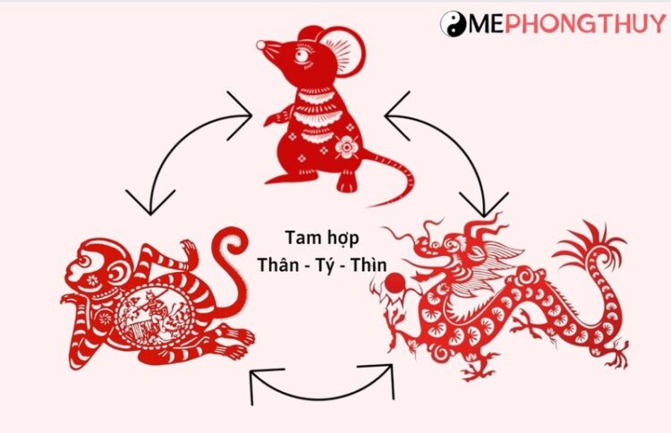 Tuổi Tý hợp với tuổi nào