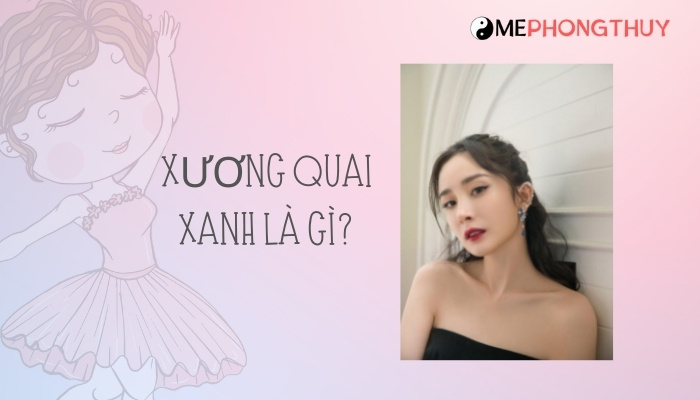 xương quai xanh là gì