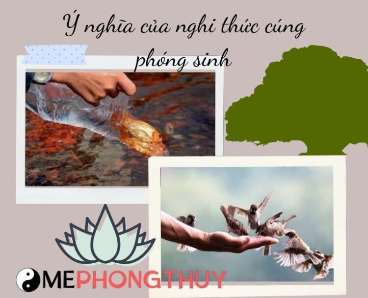 Ý nghĩa của nghi thức cúng phóng sanh