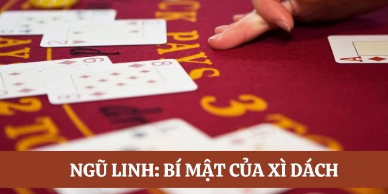 Ngũ linh xì dách - Sự khác nhau và bí quyết chơi hiệu quả