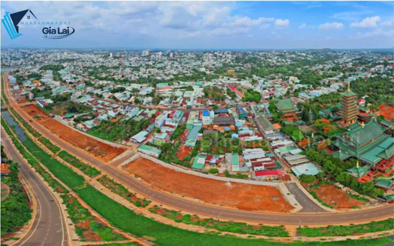 Dự đoán xu hướng và tiềm năng phát triển